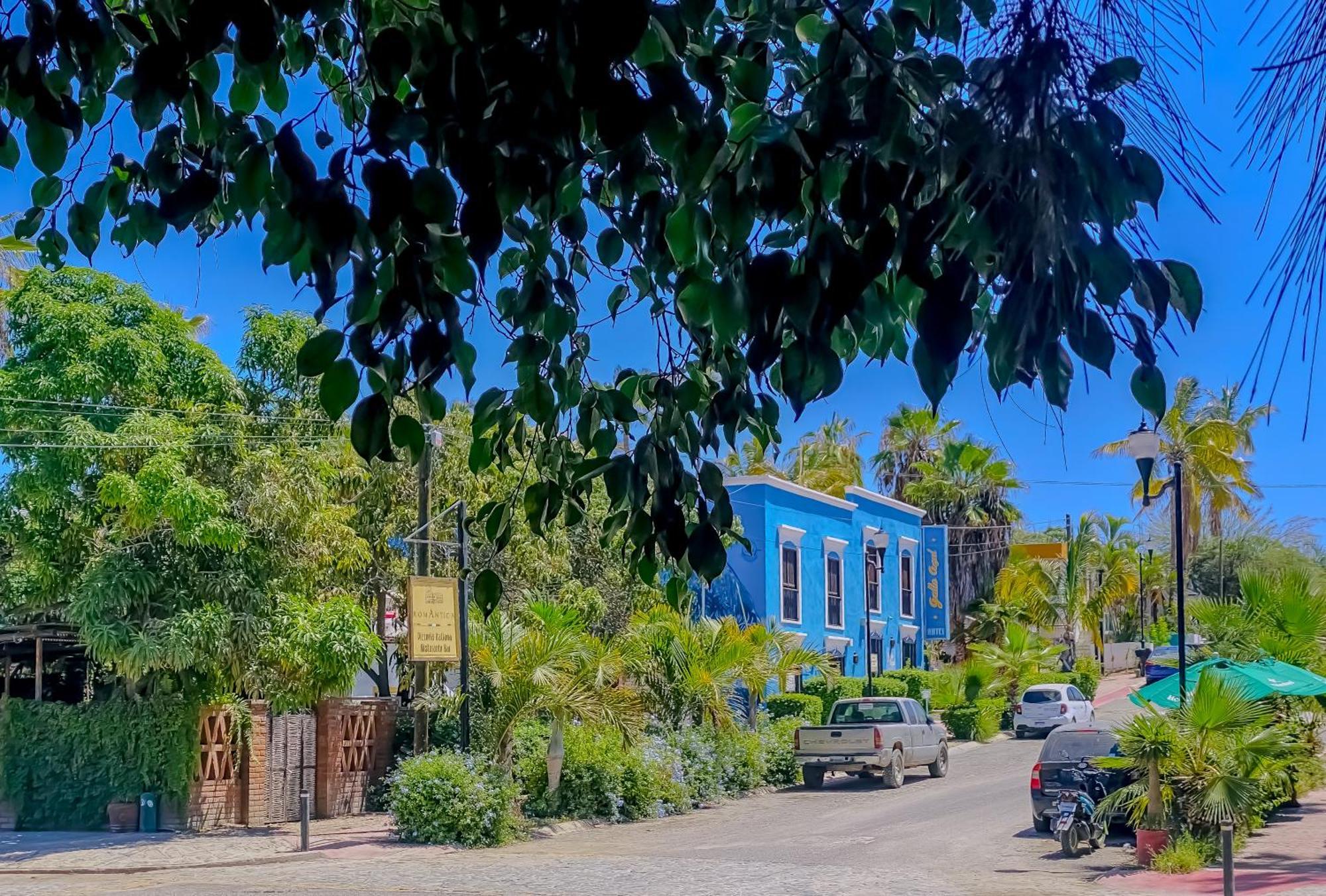 Gallo Azul Hotel, En El Corazon De Todos Santos Exterior photo