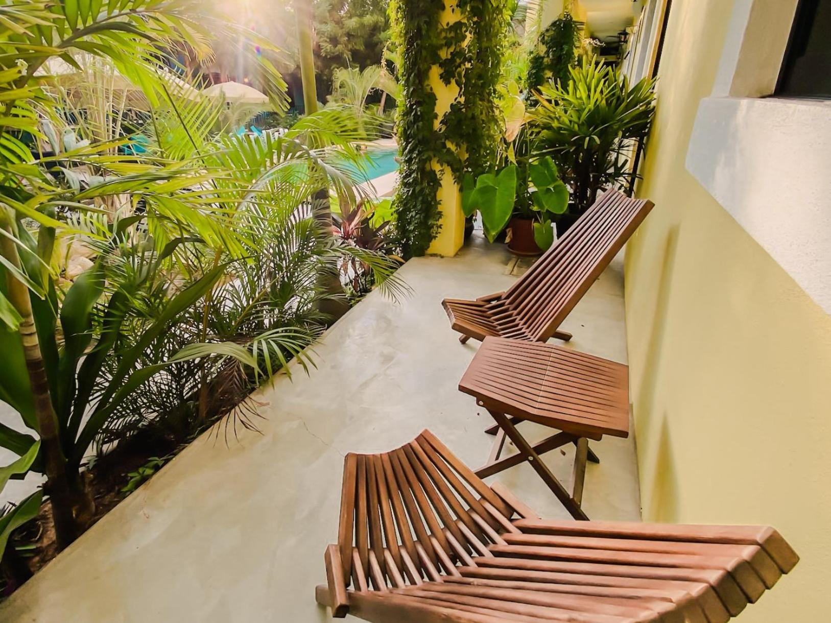 Gallo Azul Hotel, En El Corazon De Todos Santos Exterior photo