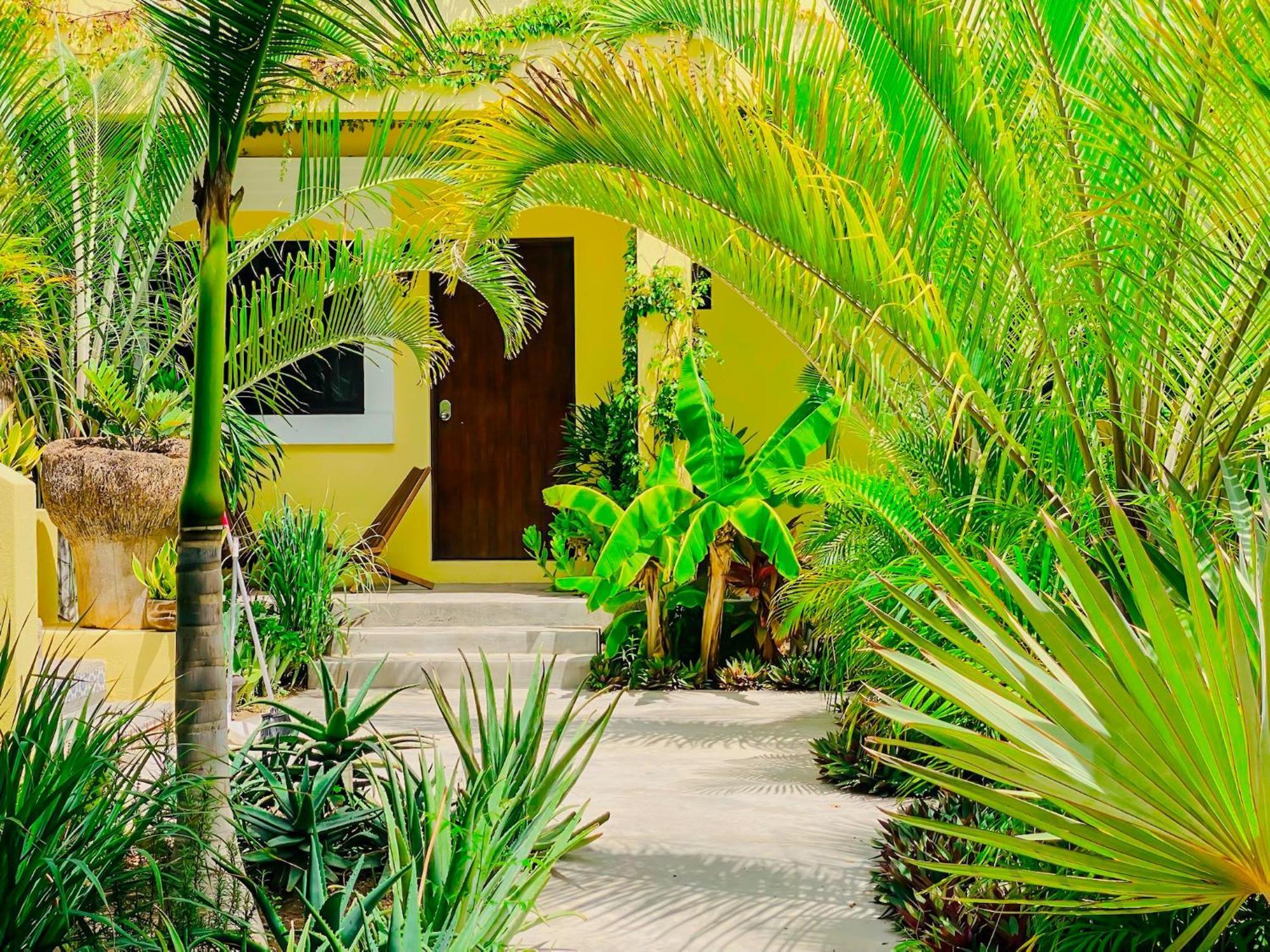 Gallo Azul Hotel, En El Corazon De Todos Santos Exterior photo