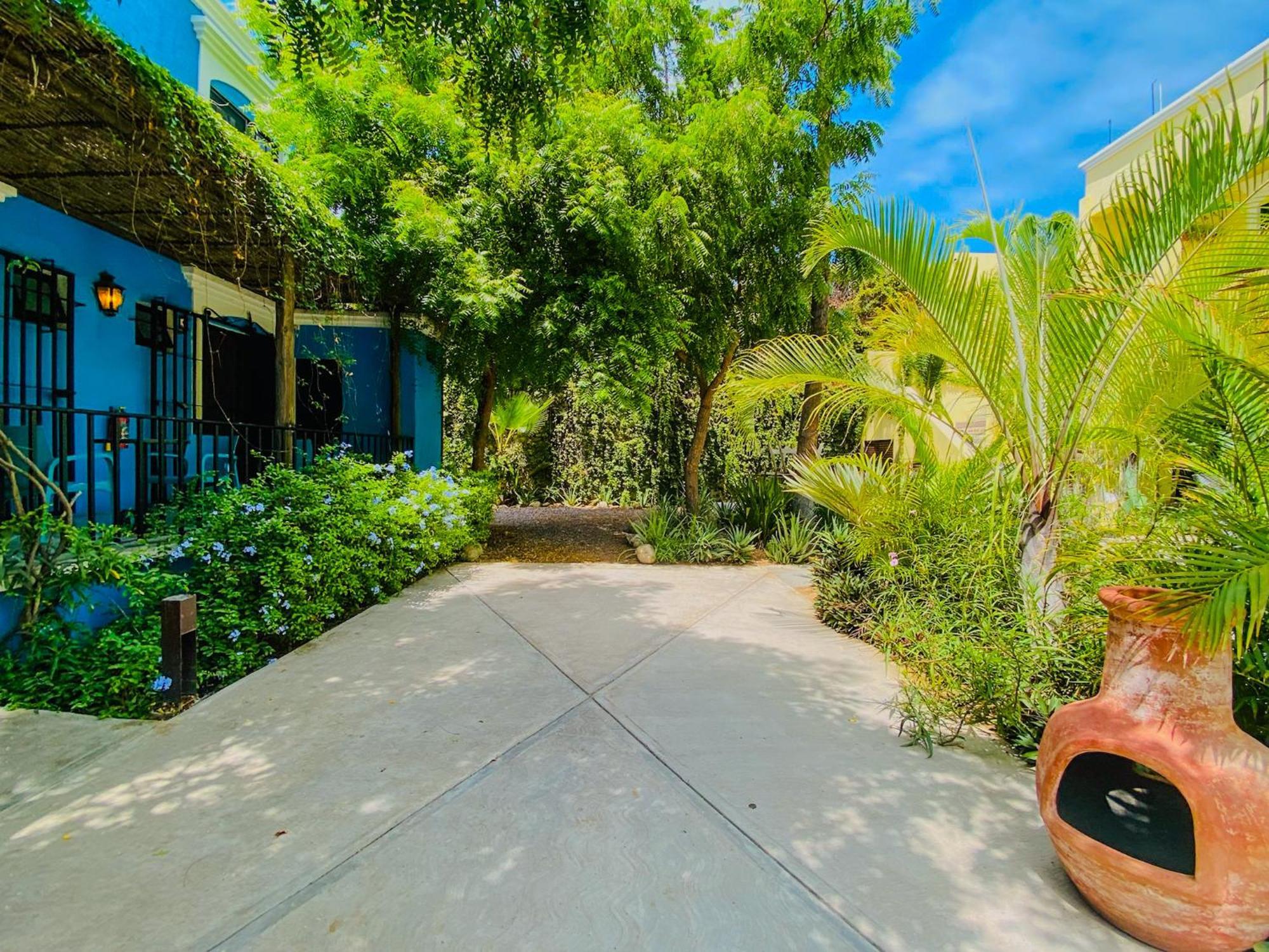 Gallo Azul Hotel, En El Corazon De Todos Santos Exterior photo