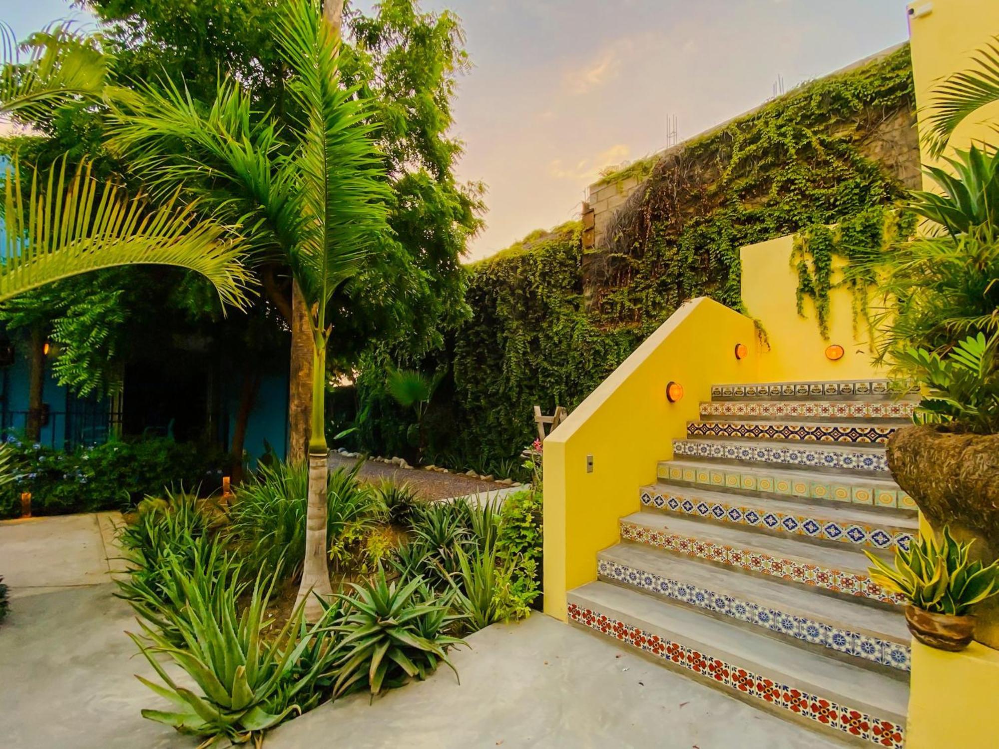 Gallo Azul Hotel, En El Corazon De Todos Santos Exterior photo